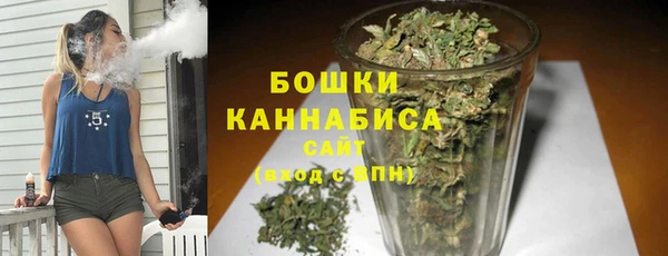 сатива Абинск