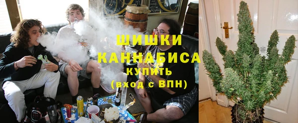 сатива Абинск