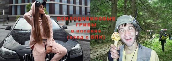 каннабис Абаза