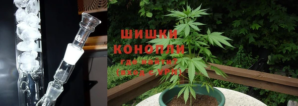сатива Абинск