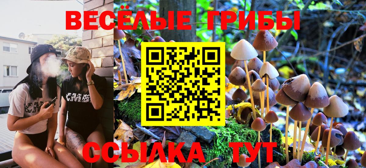 Галлюциногенные грибы GOLDEN TEACHER Луга