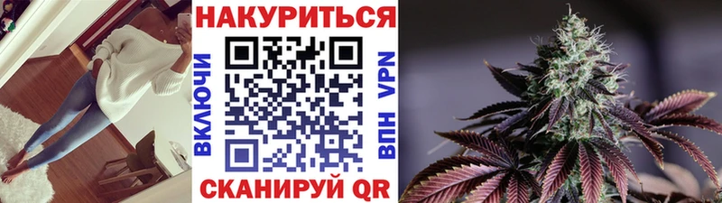 Канабис индика  KRAKEN вход  Луга 